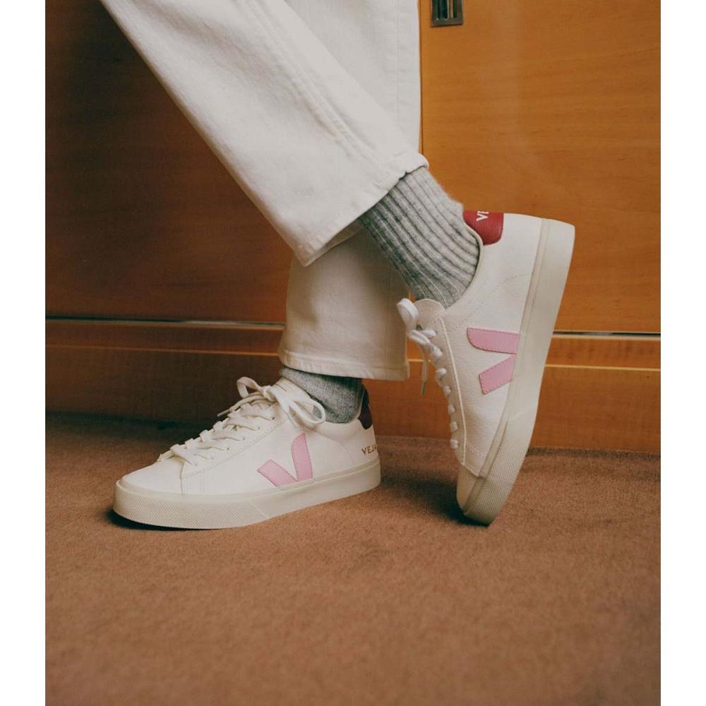 Veja CAMPO CHROMEFREE Low Tops Sneakers Férfi White/Pink | HU 193WNB